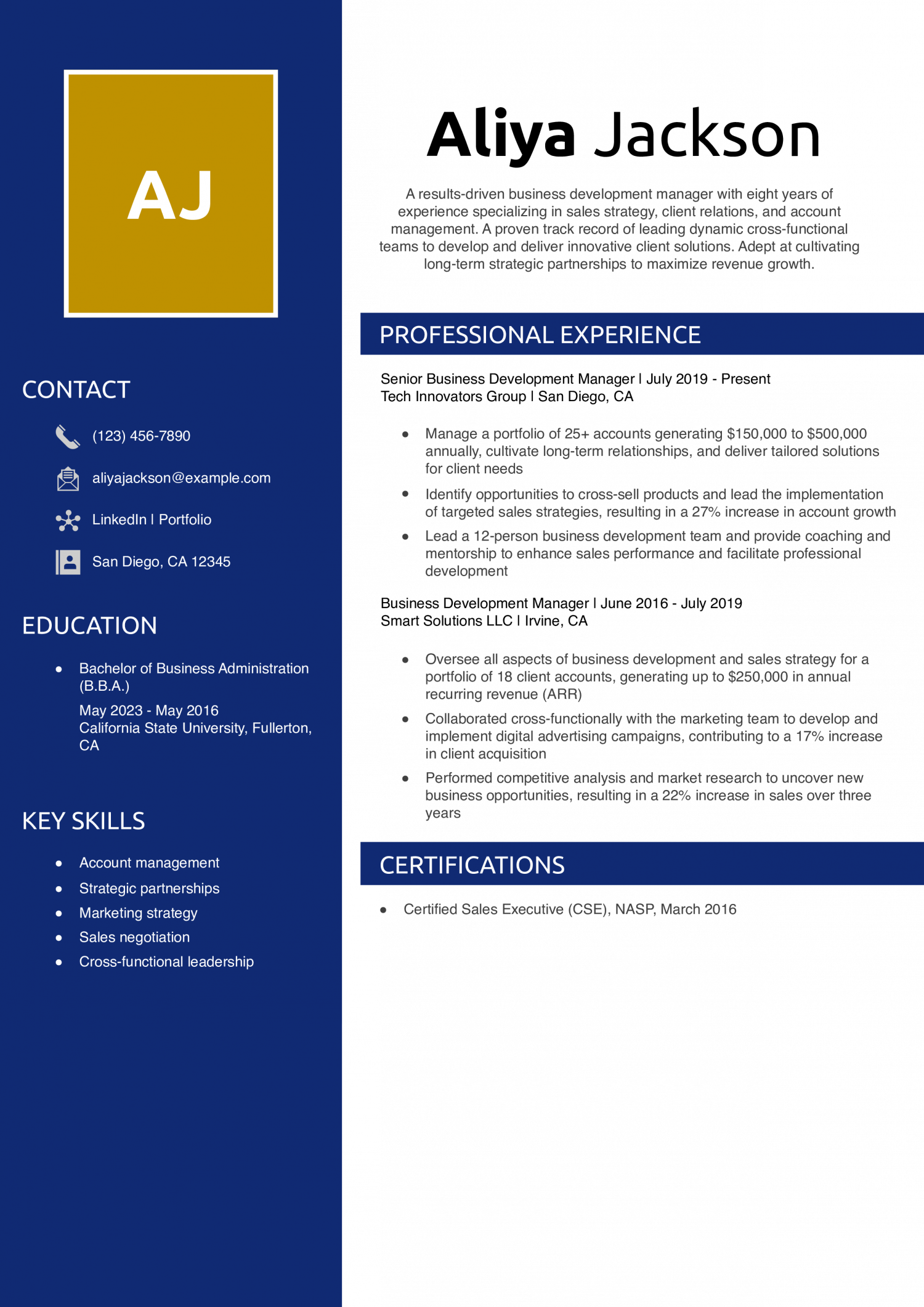 Business Development Manager Resume