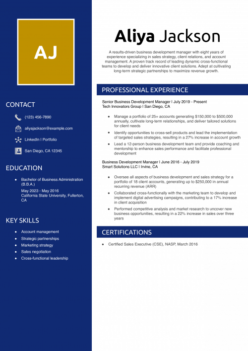 Business Development Manager Resume