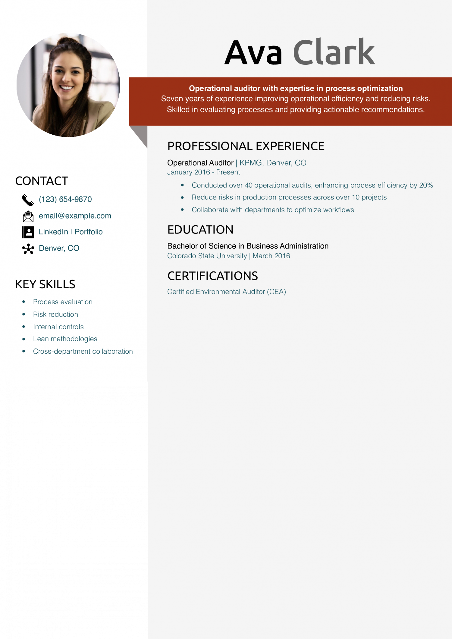 Operational Auditor Resume Example