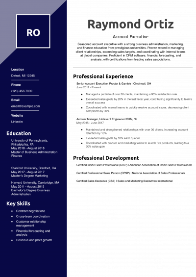 Account Executive Example Resume