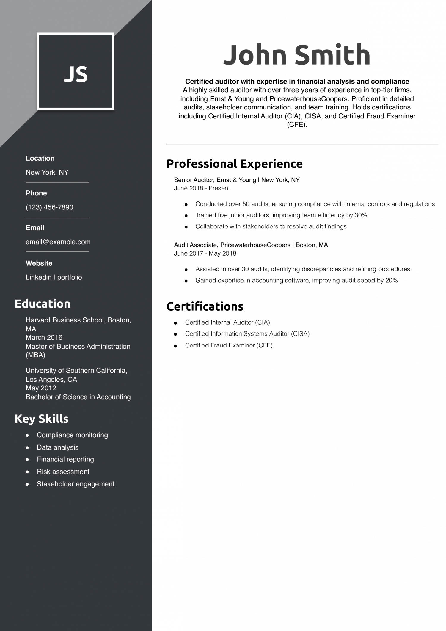 Auditor Resume Example