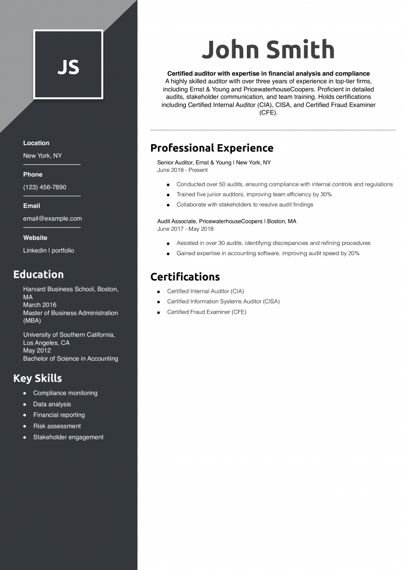 Auditor Resume Example