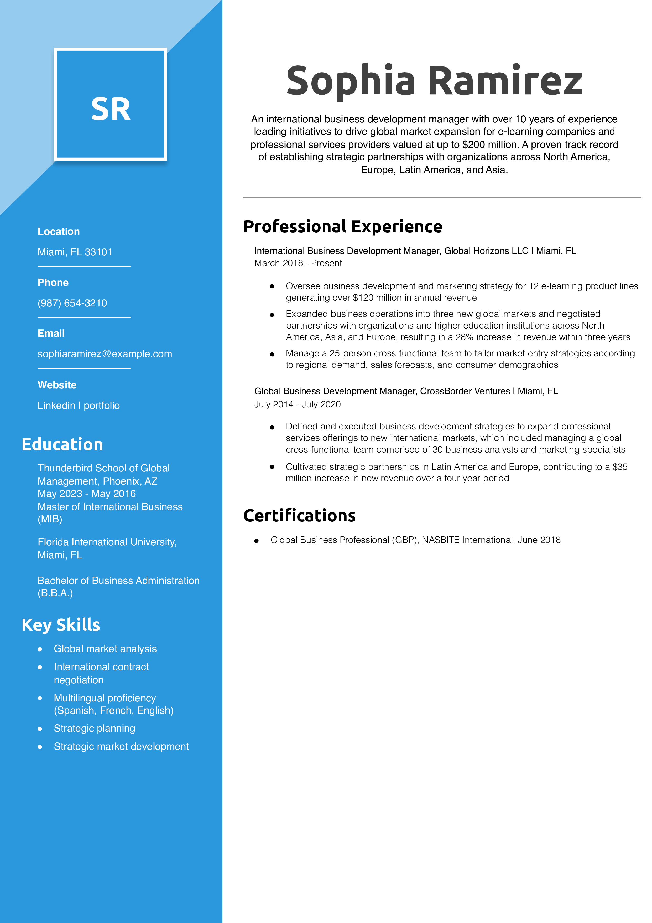 Global International Business Development Manager