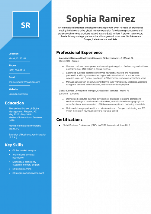Global International Business Development Manager