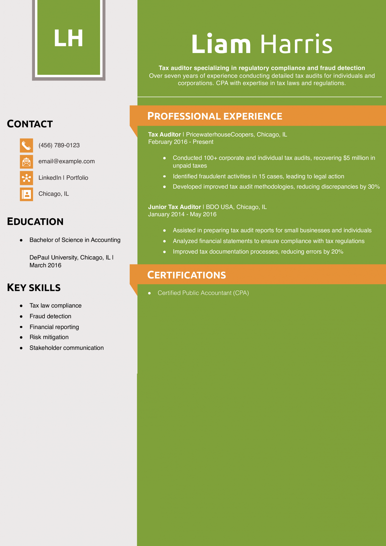 Tax Auditor Resume Example