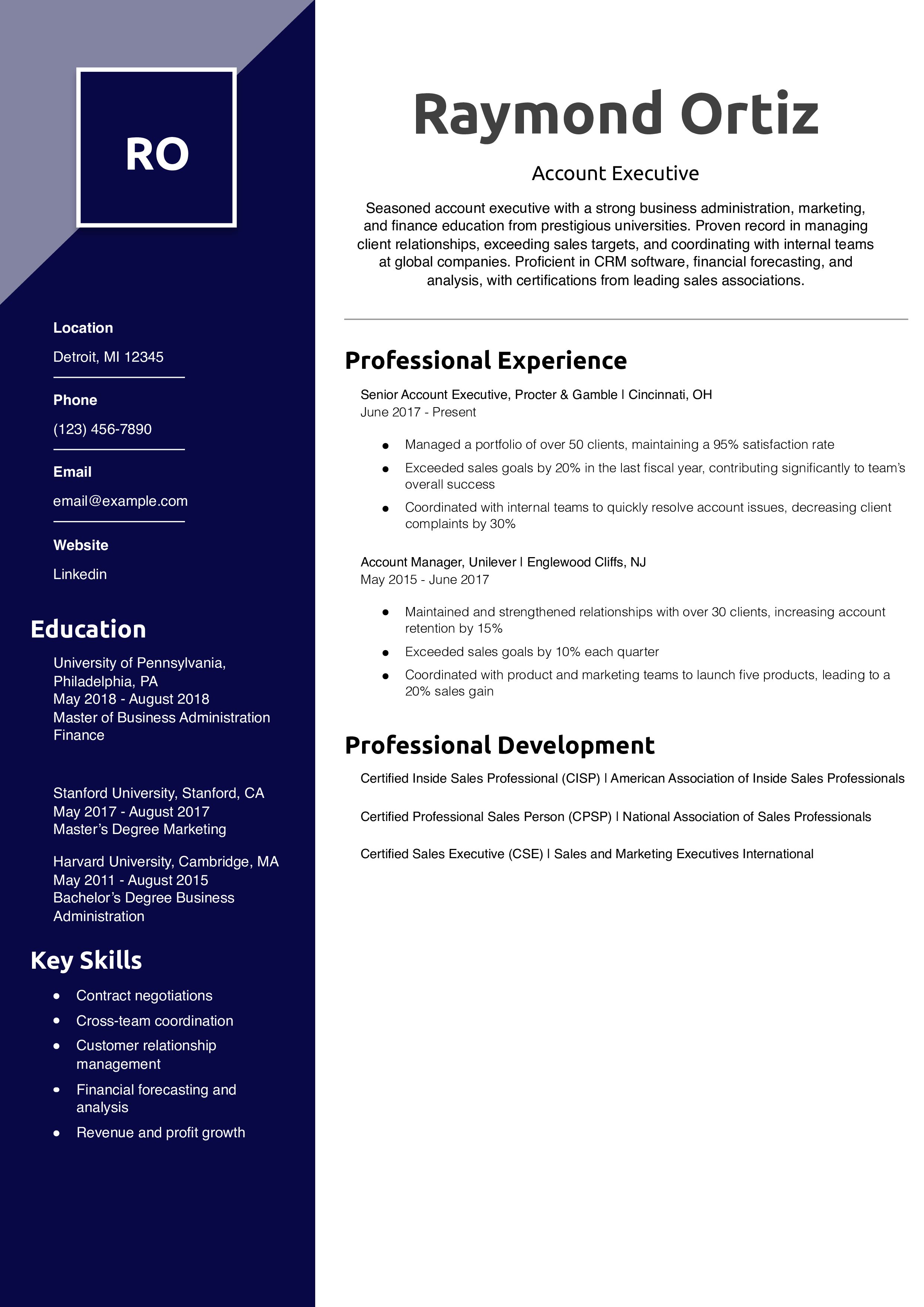Account Executive Resume Example