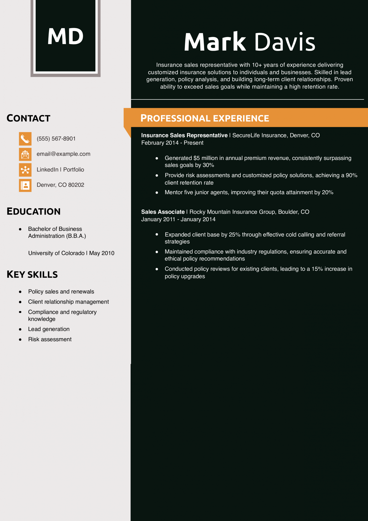 Insurance Sales Representative Resume Example
