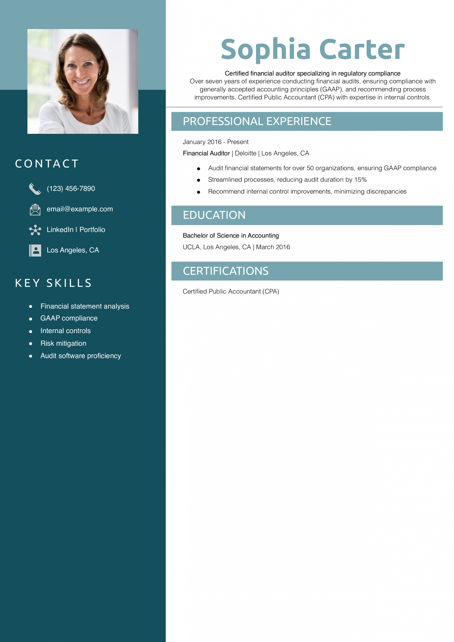 Financial Auditor Resume Example