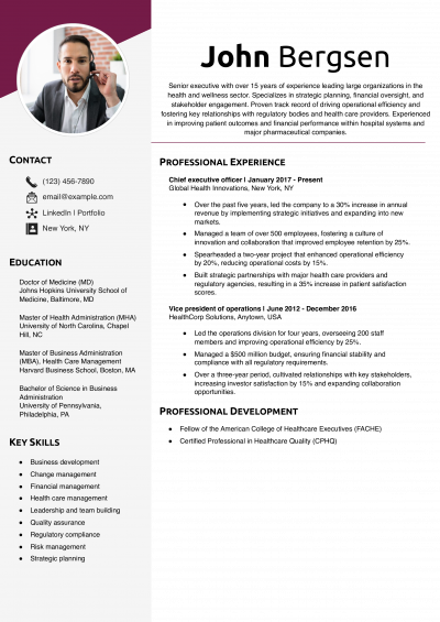 Health Care Chief Executive Officer Resume Example