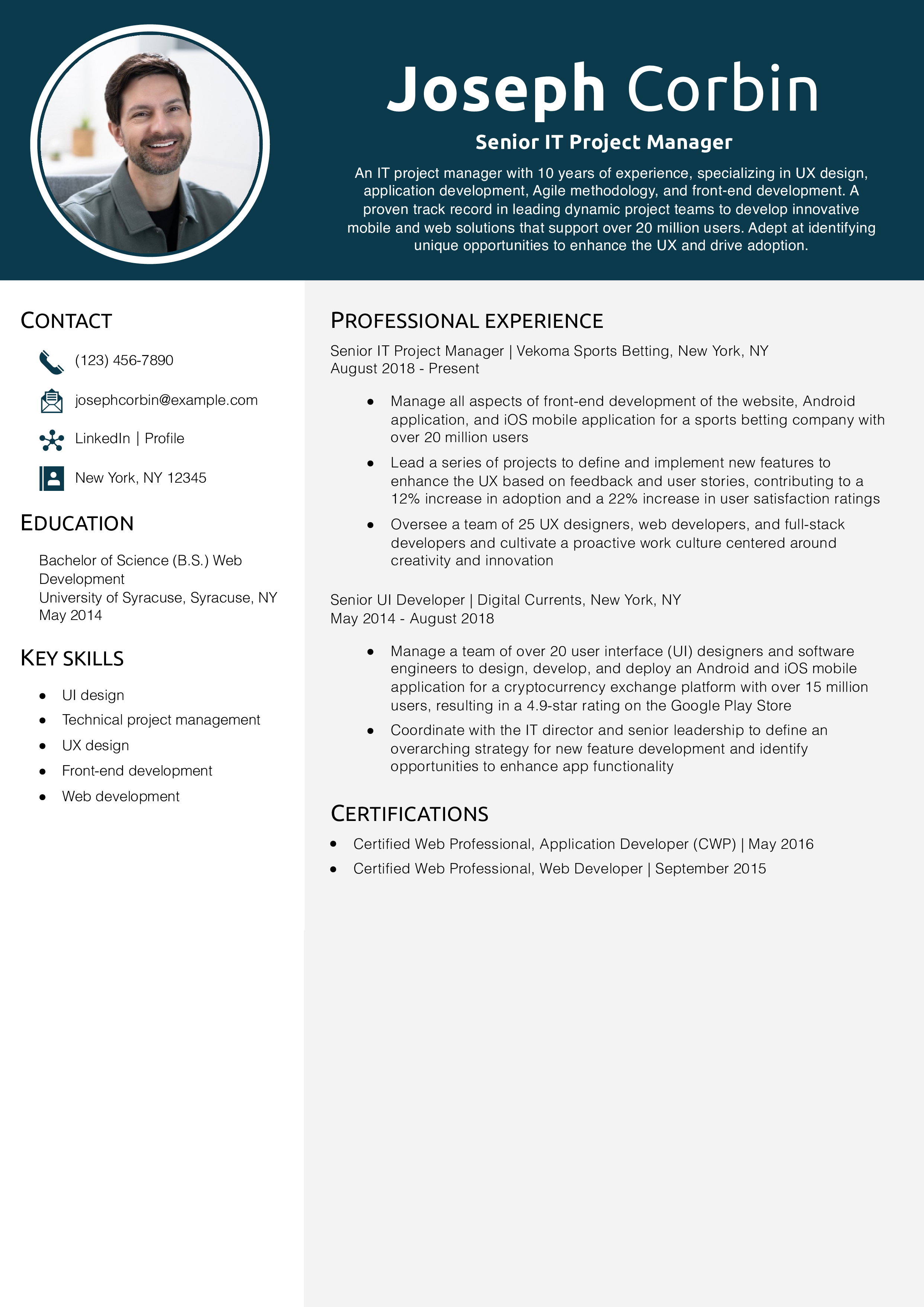 Senior IT Project Manager Resume Example