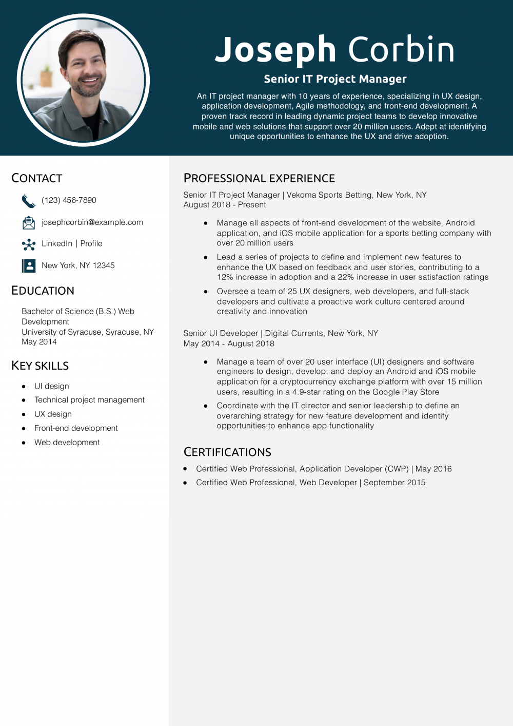 Senior IT Project Manager Resume Example