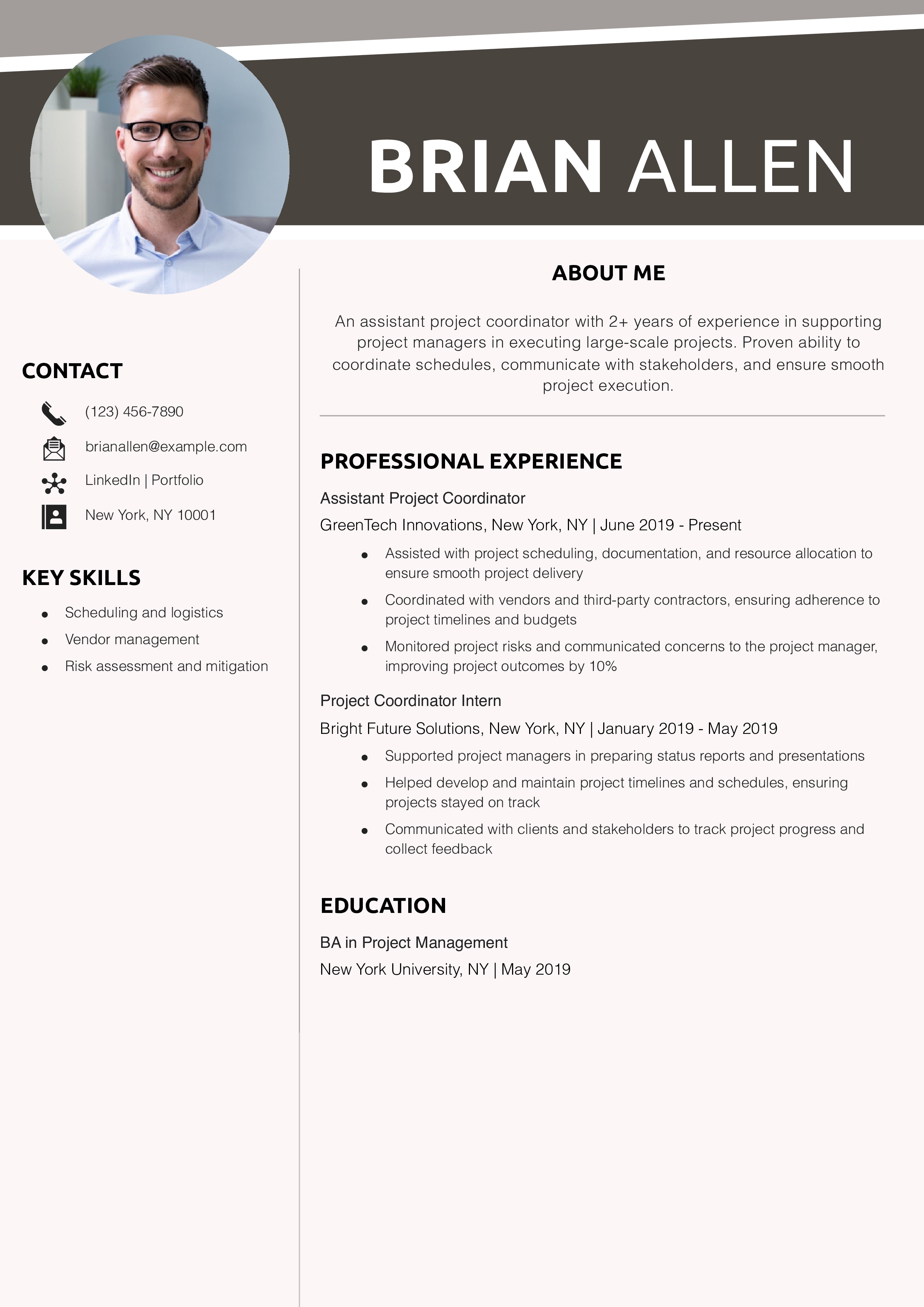 Assistant Project Coordinator Resume Example