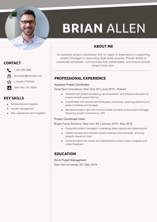 Assistant Project Coordinator Resume Example