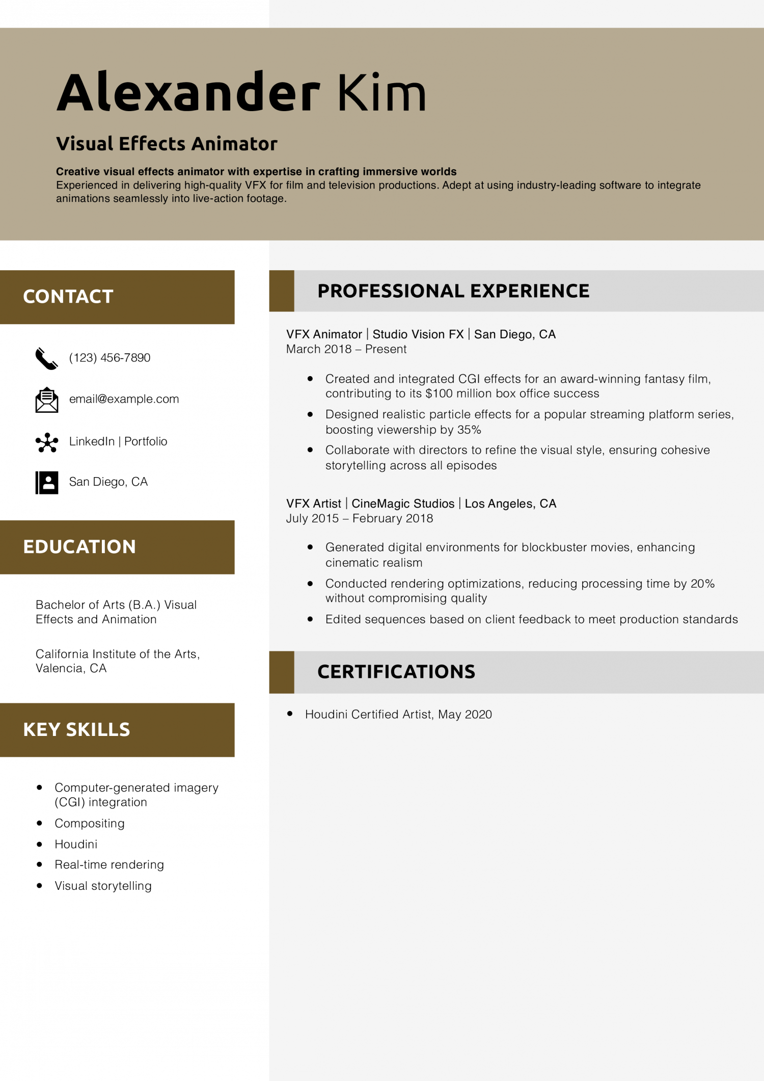 Visual Effects Animator Resume Example