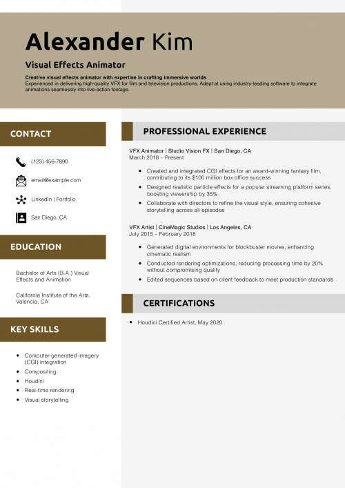 Visual Effects Animator Resume Example