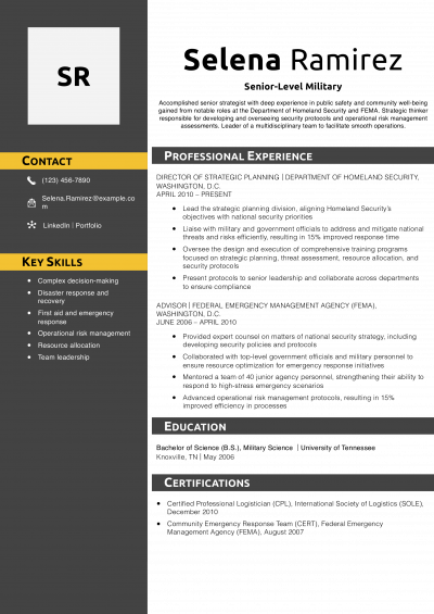 Senior-Level Military Resume Example