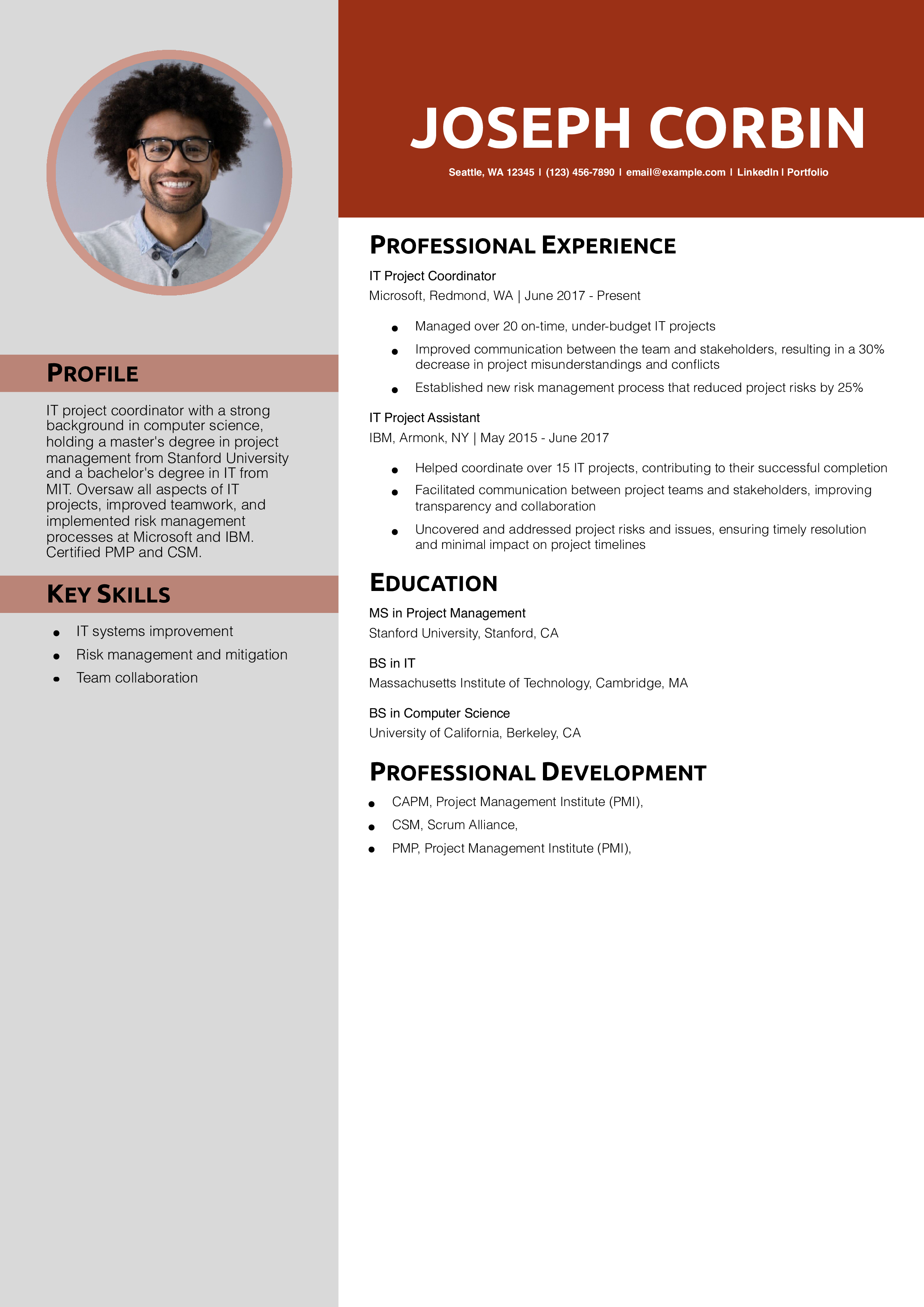 IT Project Coordinator Resume Example