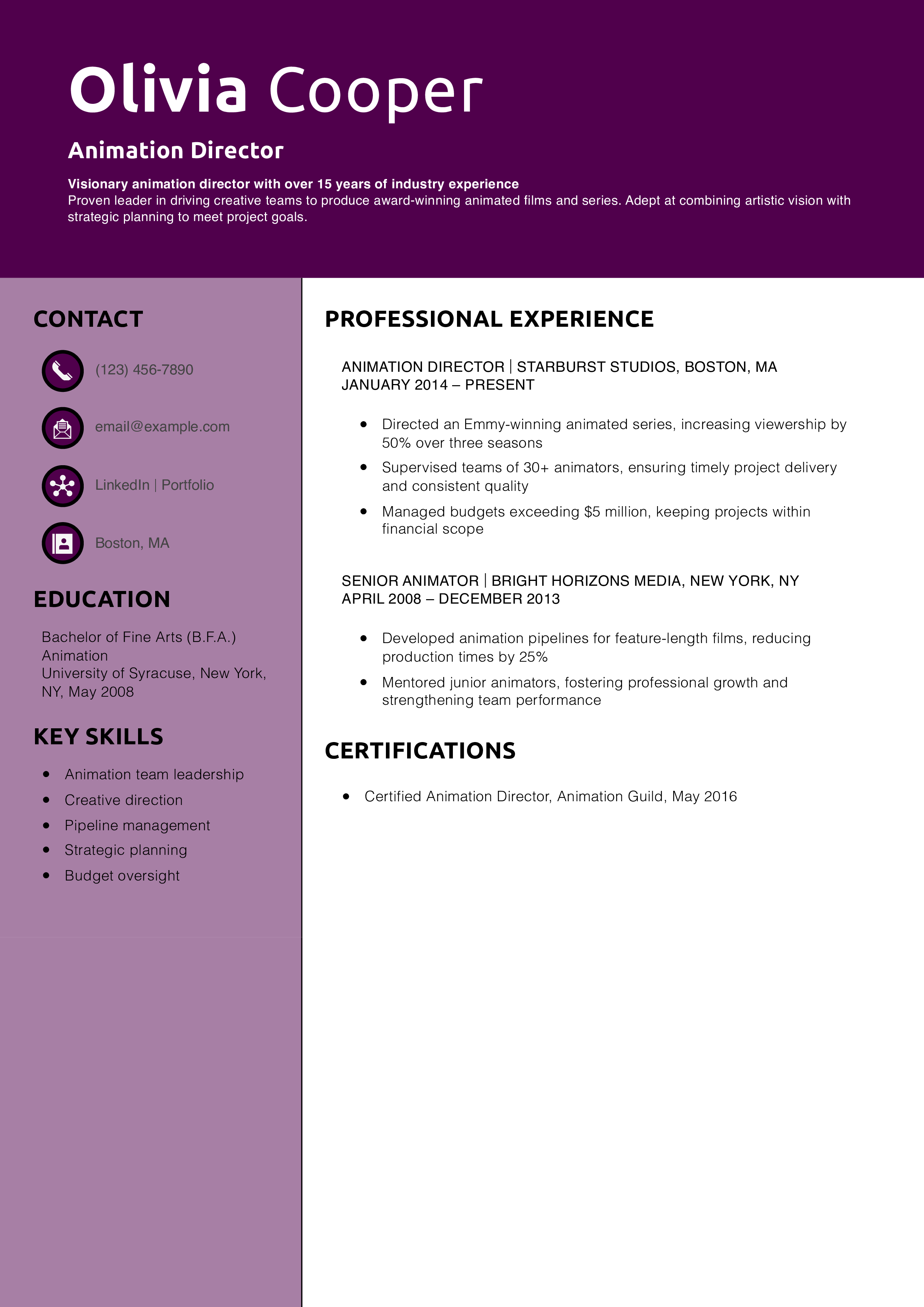 Animation Director Resume Example