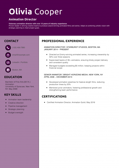 Animation Director Resume Example