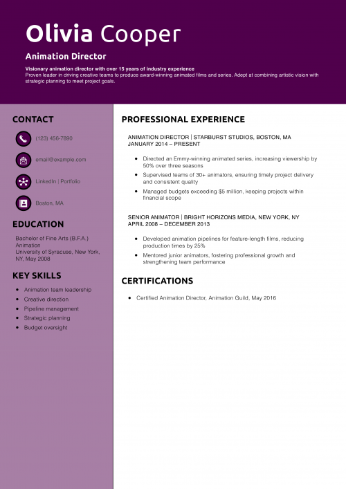 Animation Director Resume Example