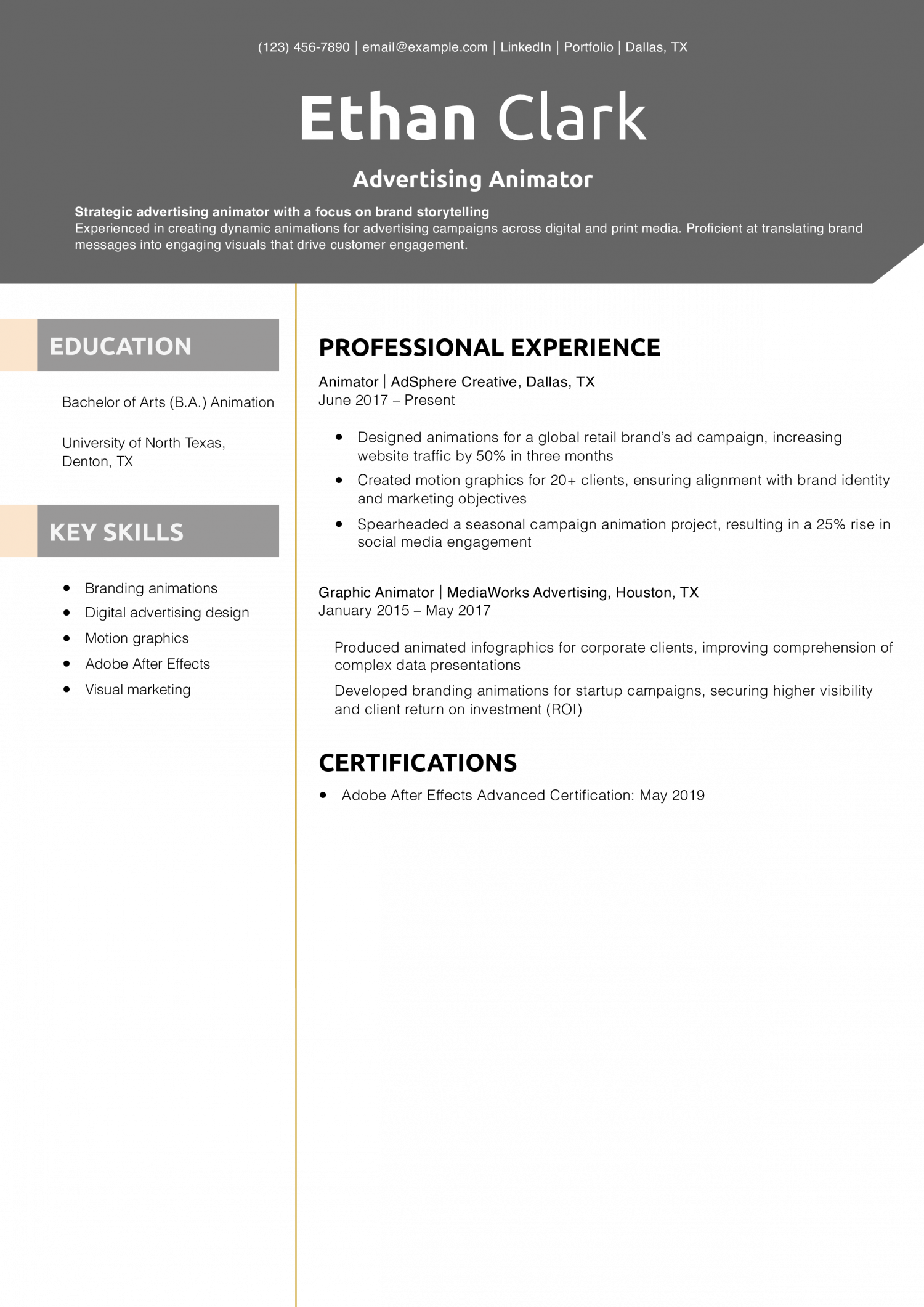 Advertising Animator Resume Example