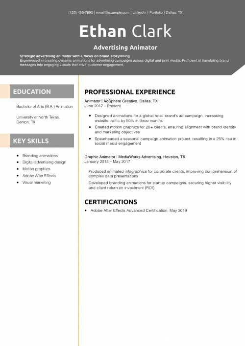 Advertising Animator Resume Example