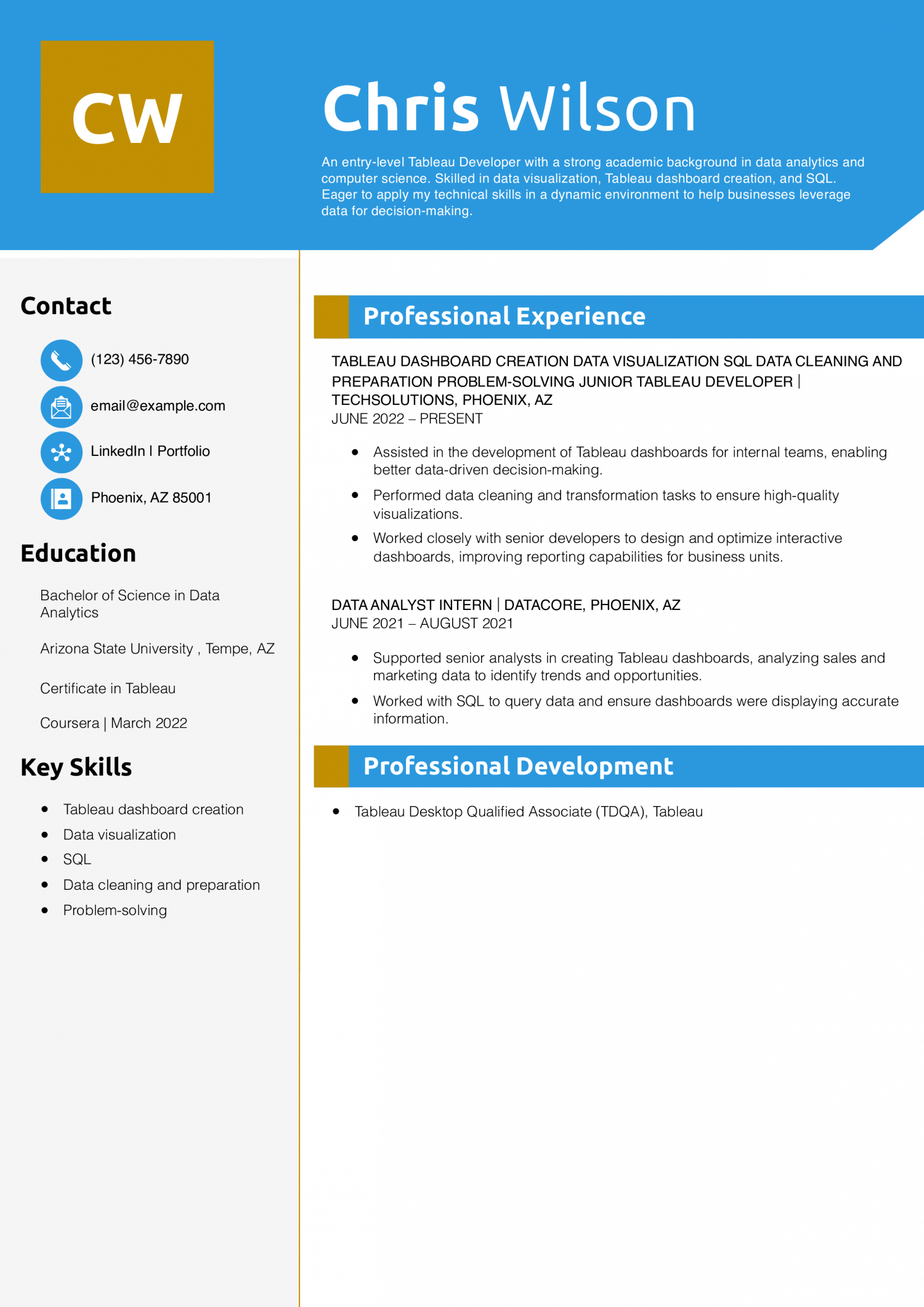 Entry-Level Tableau Developer Resume Example