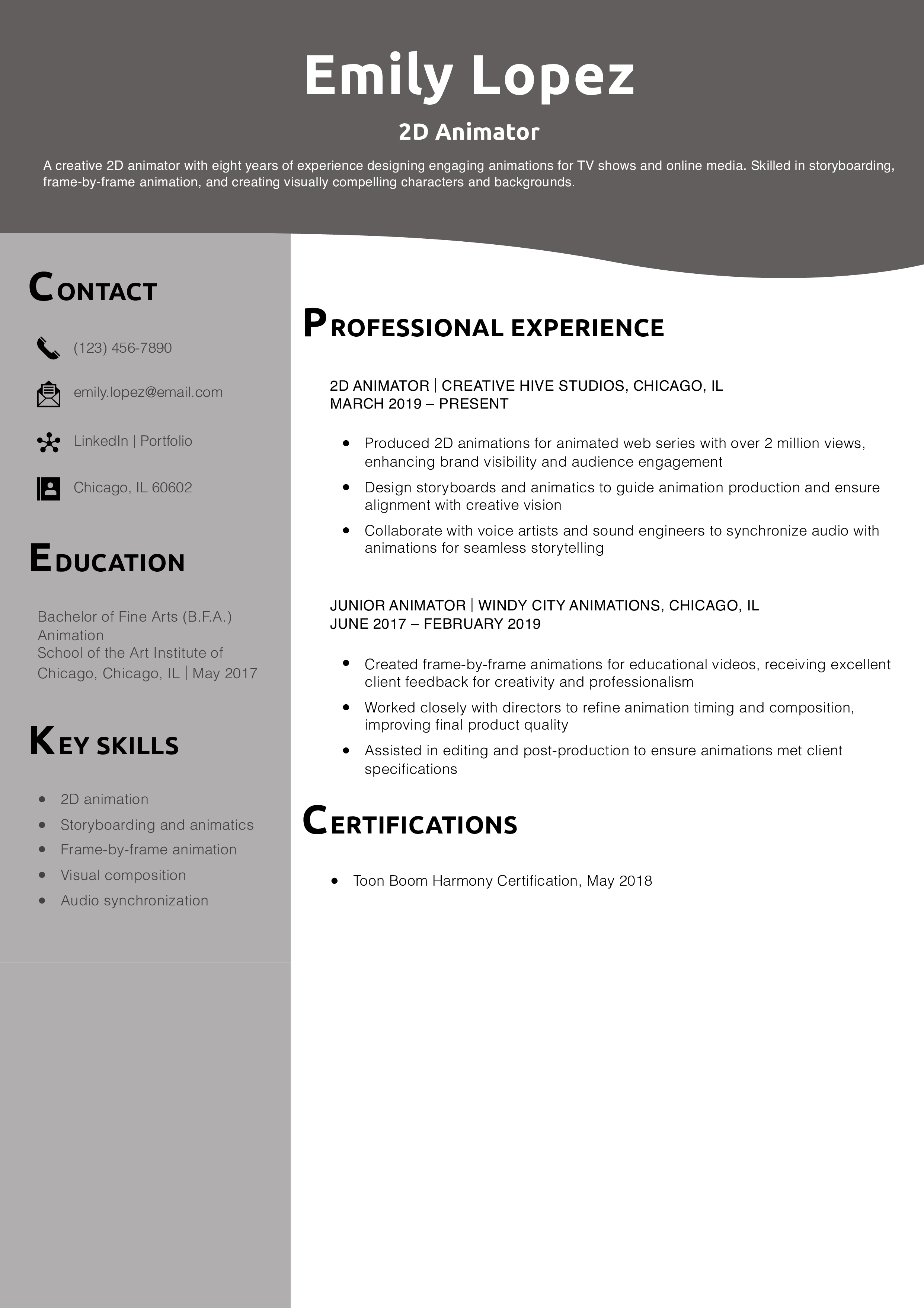 2D Animator Resume Example