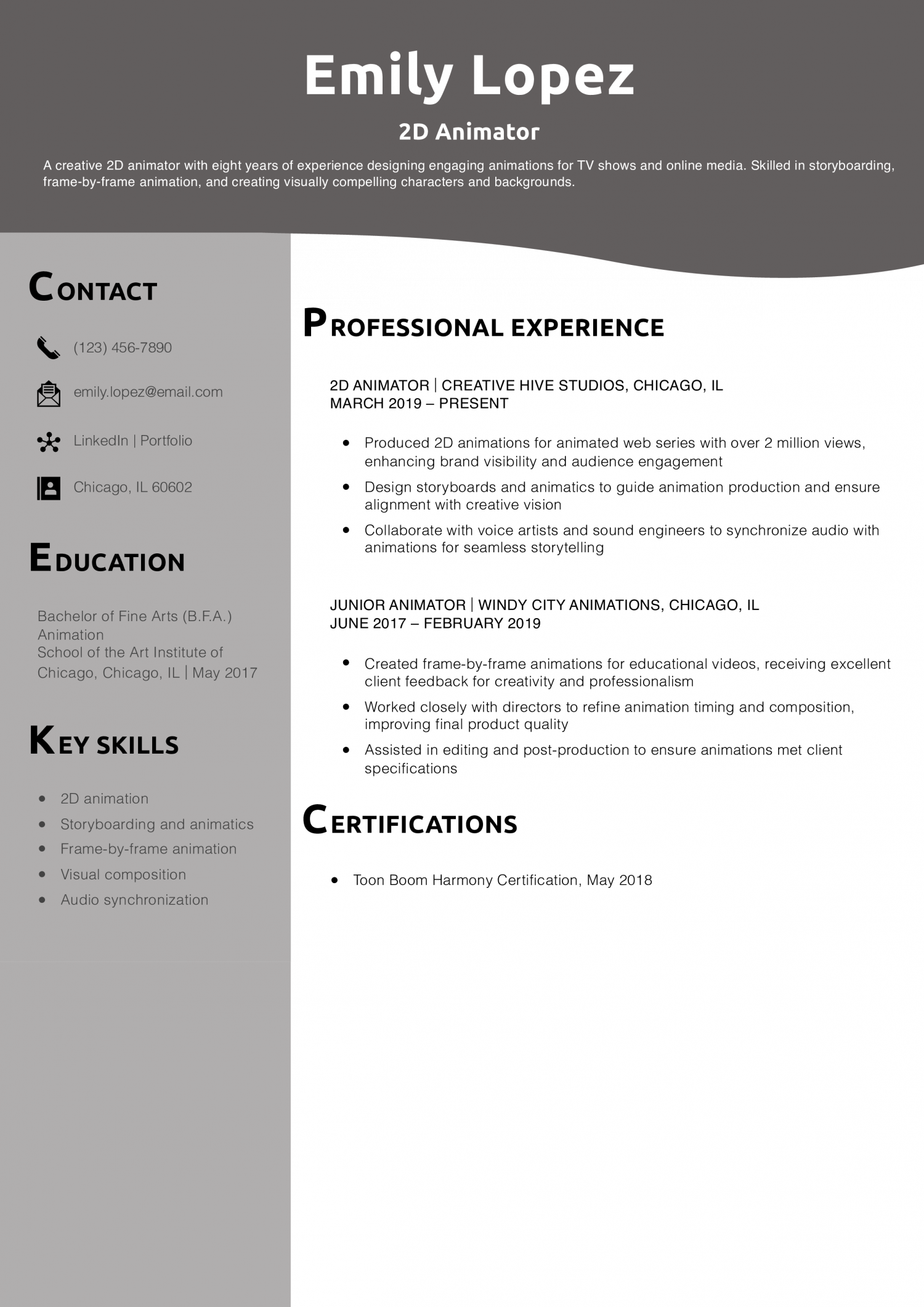 2D Animator Resume Example