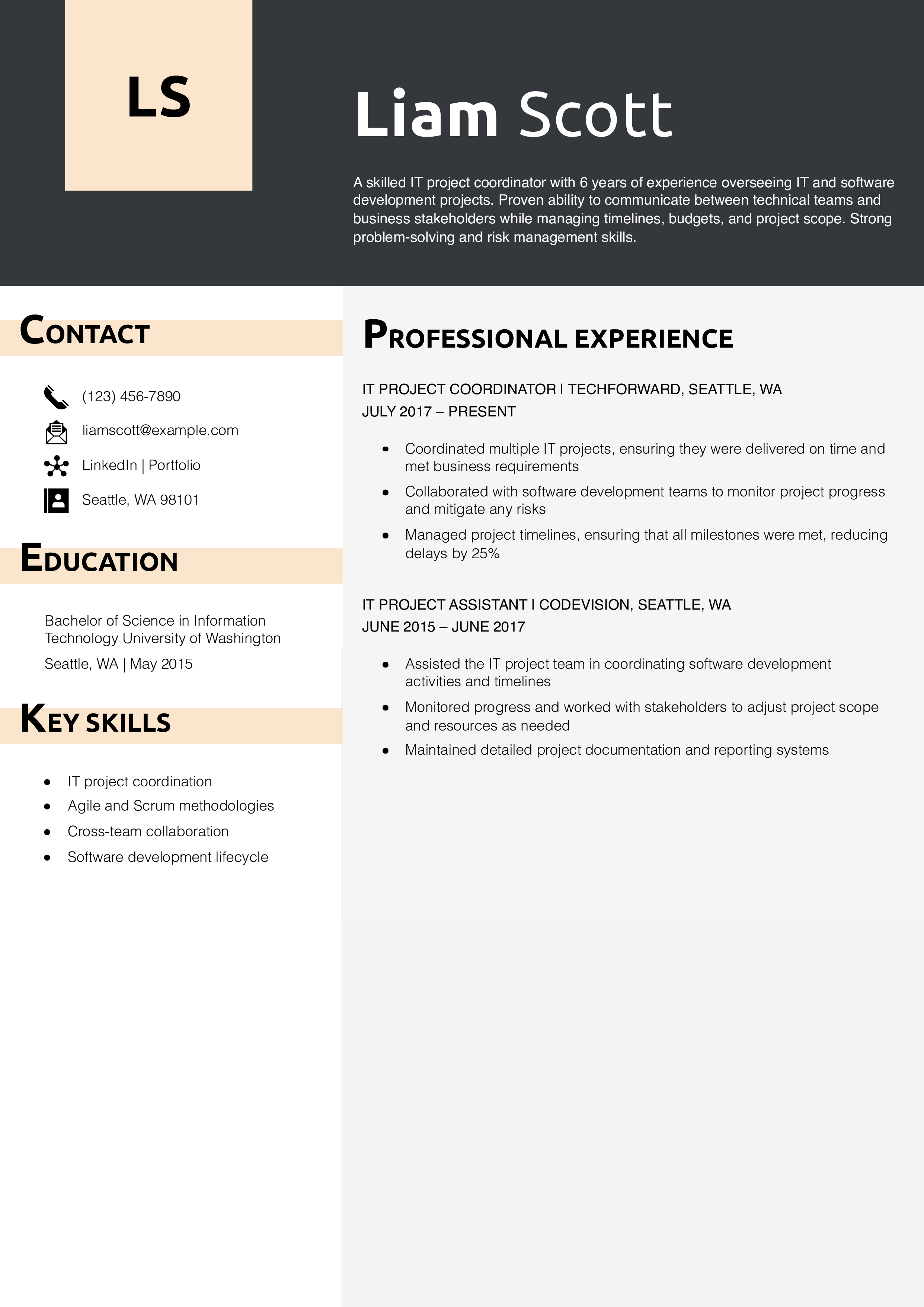 Project Coordinator - IT Resume Example
