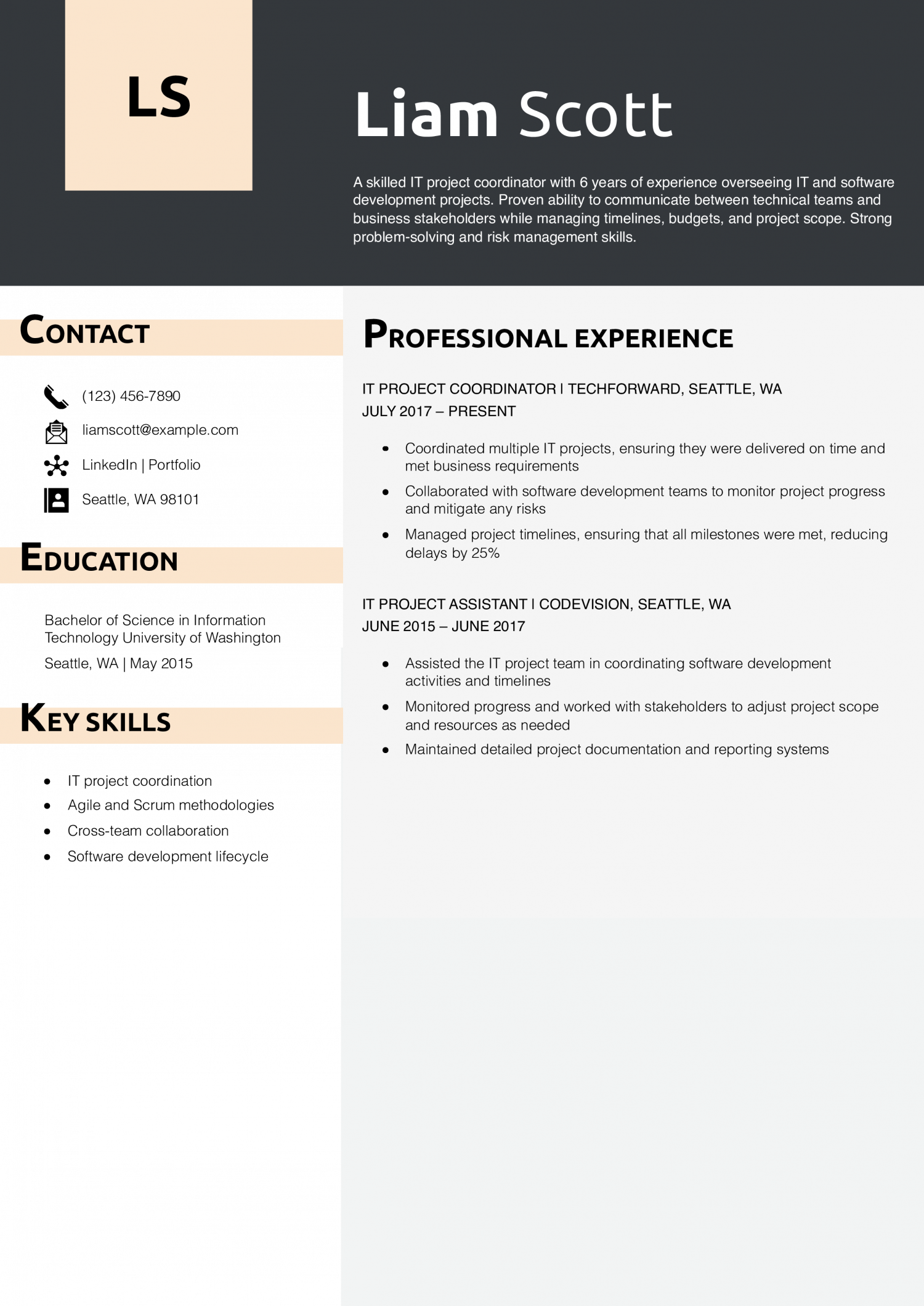 Project Coordinator - IT Resume Example