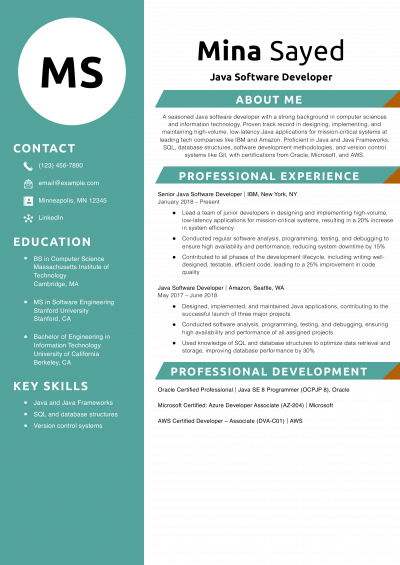 Java Software Developer Resume Example