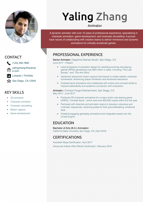 Animator Resume Example