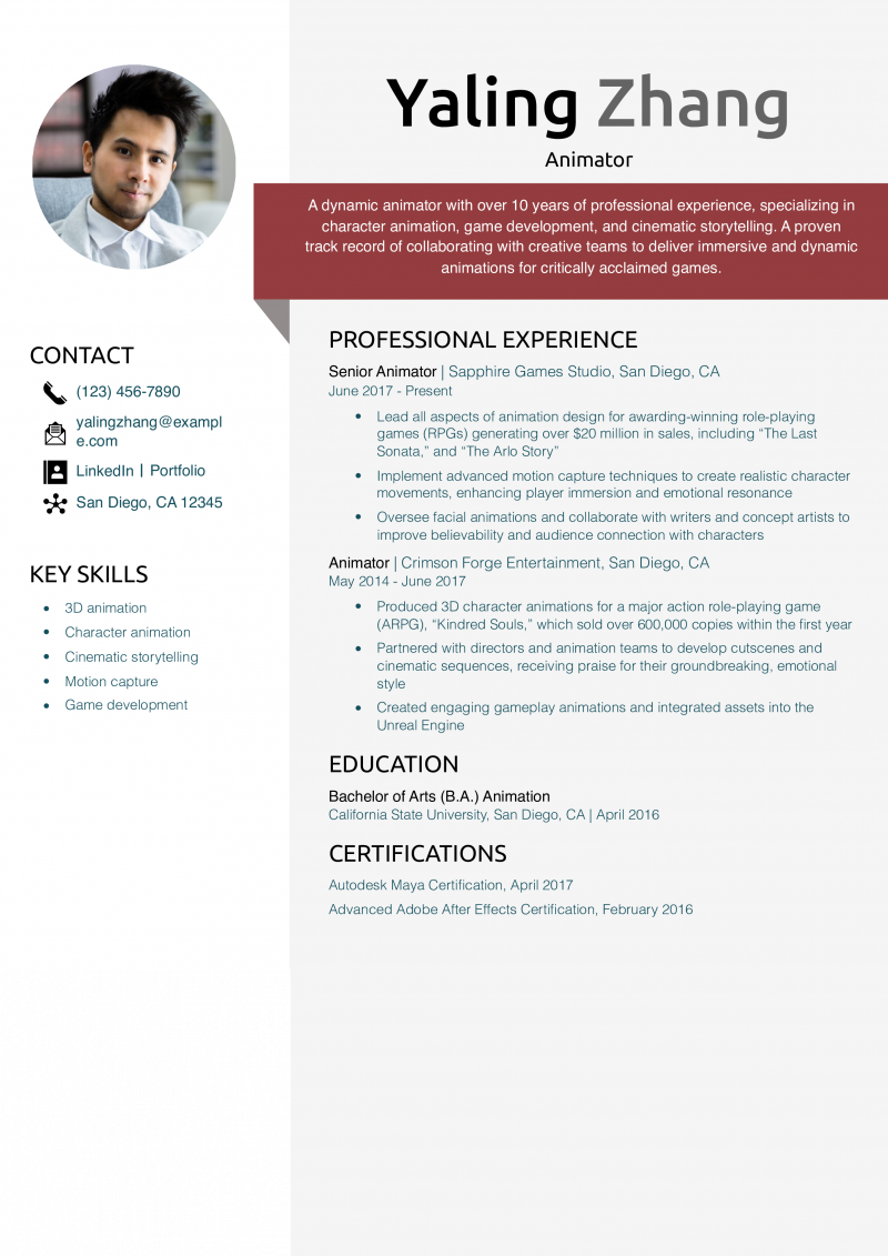 Animator Resume Example
