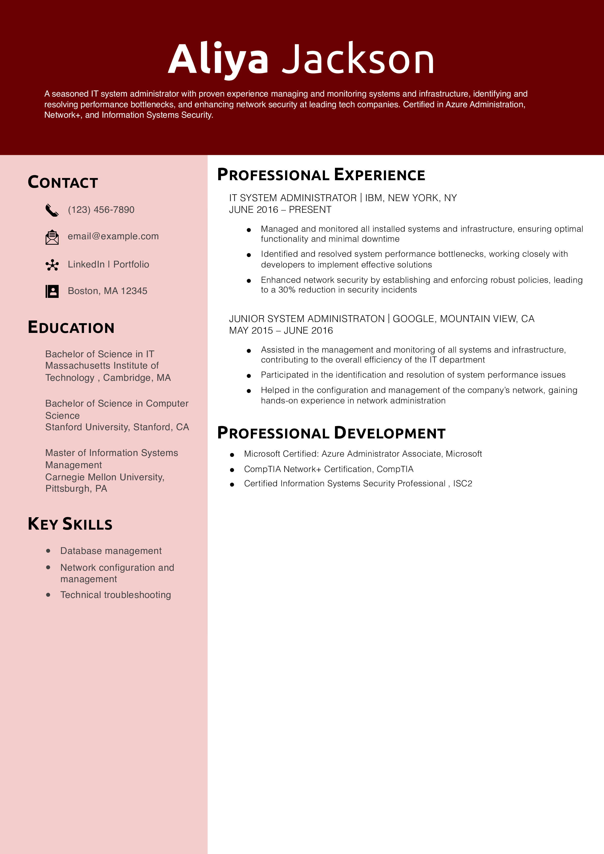 System Administrator_Copy