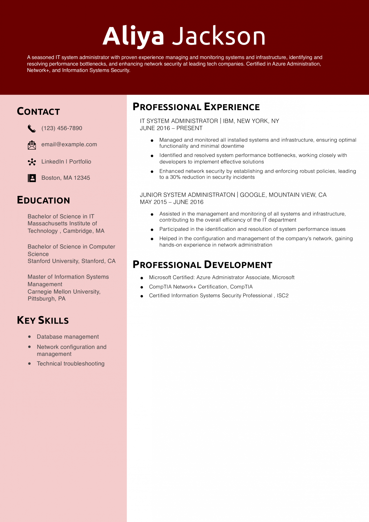 System Administrator_Copy