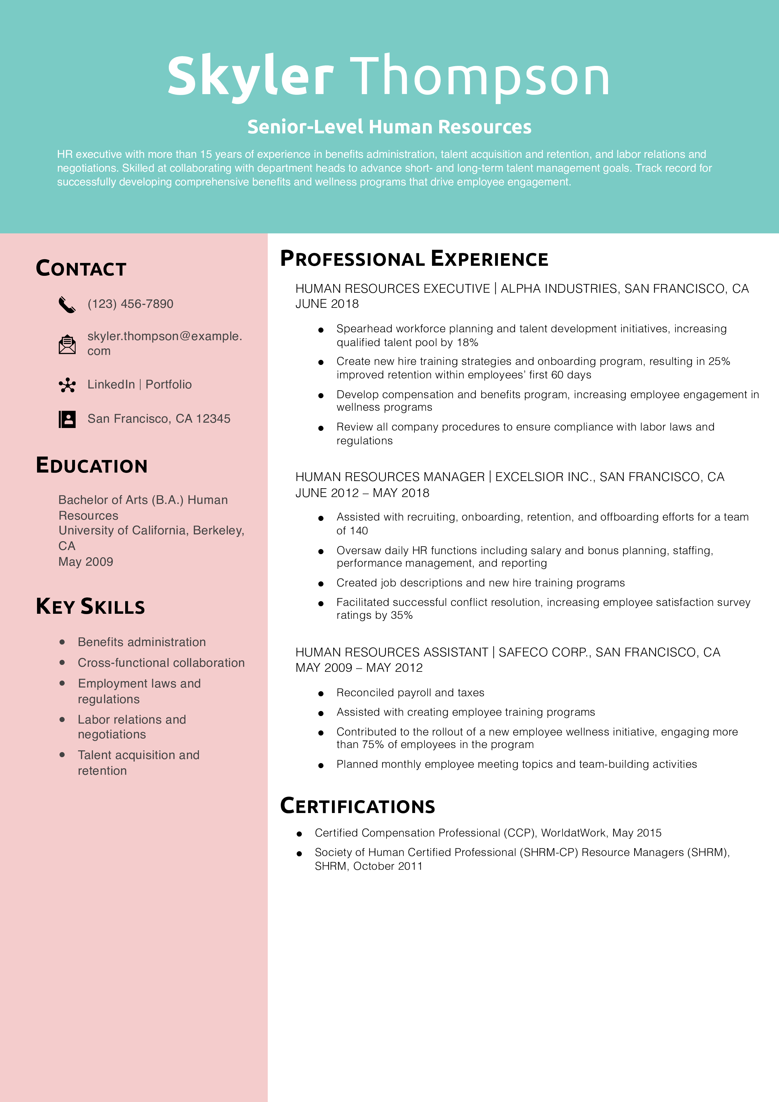 Senior-Level Human Resources Resume Example