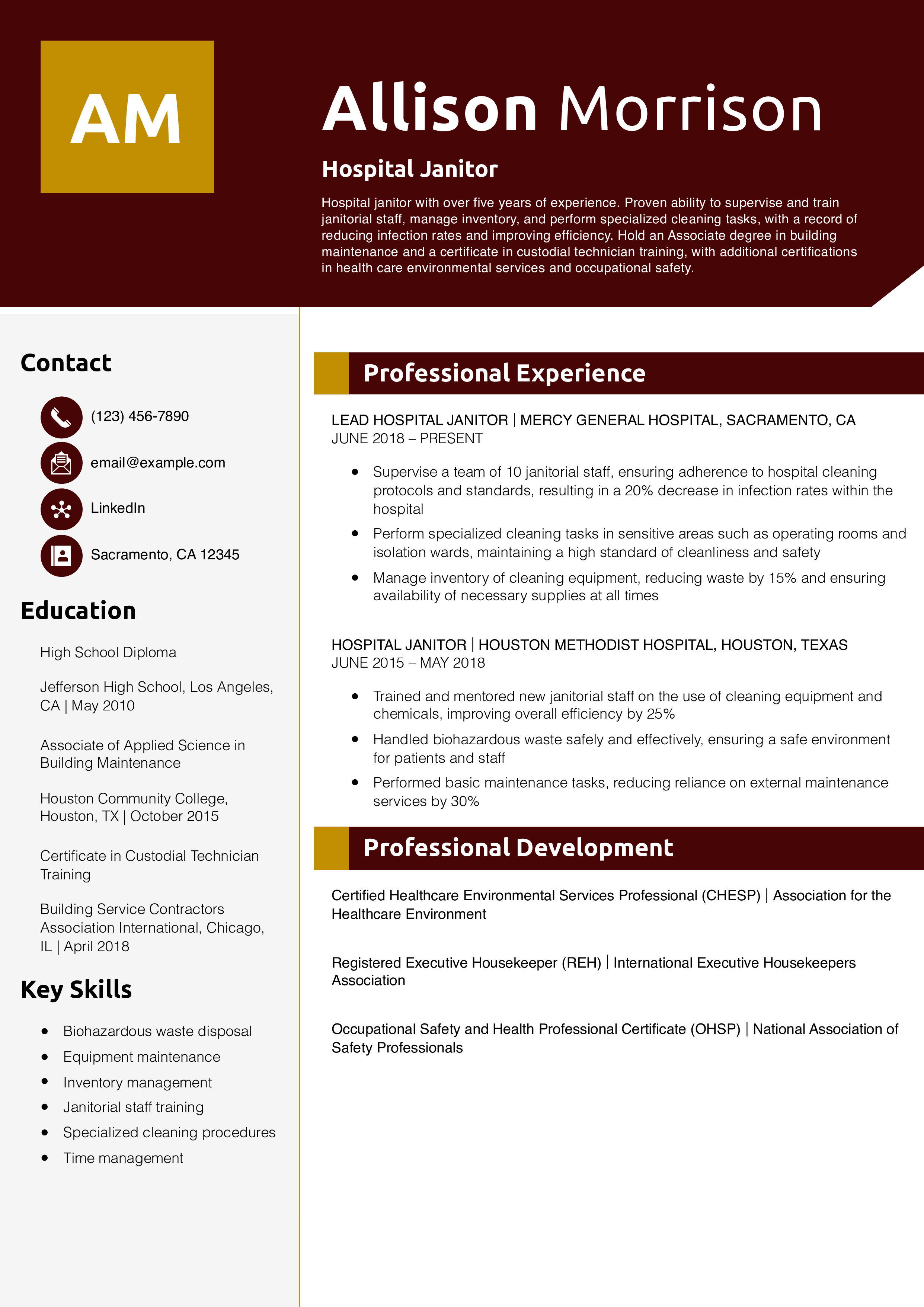 Hospital Janitor Resume Example