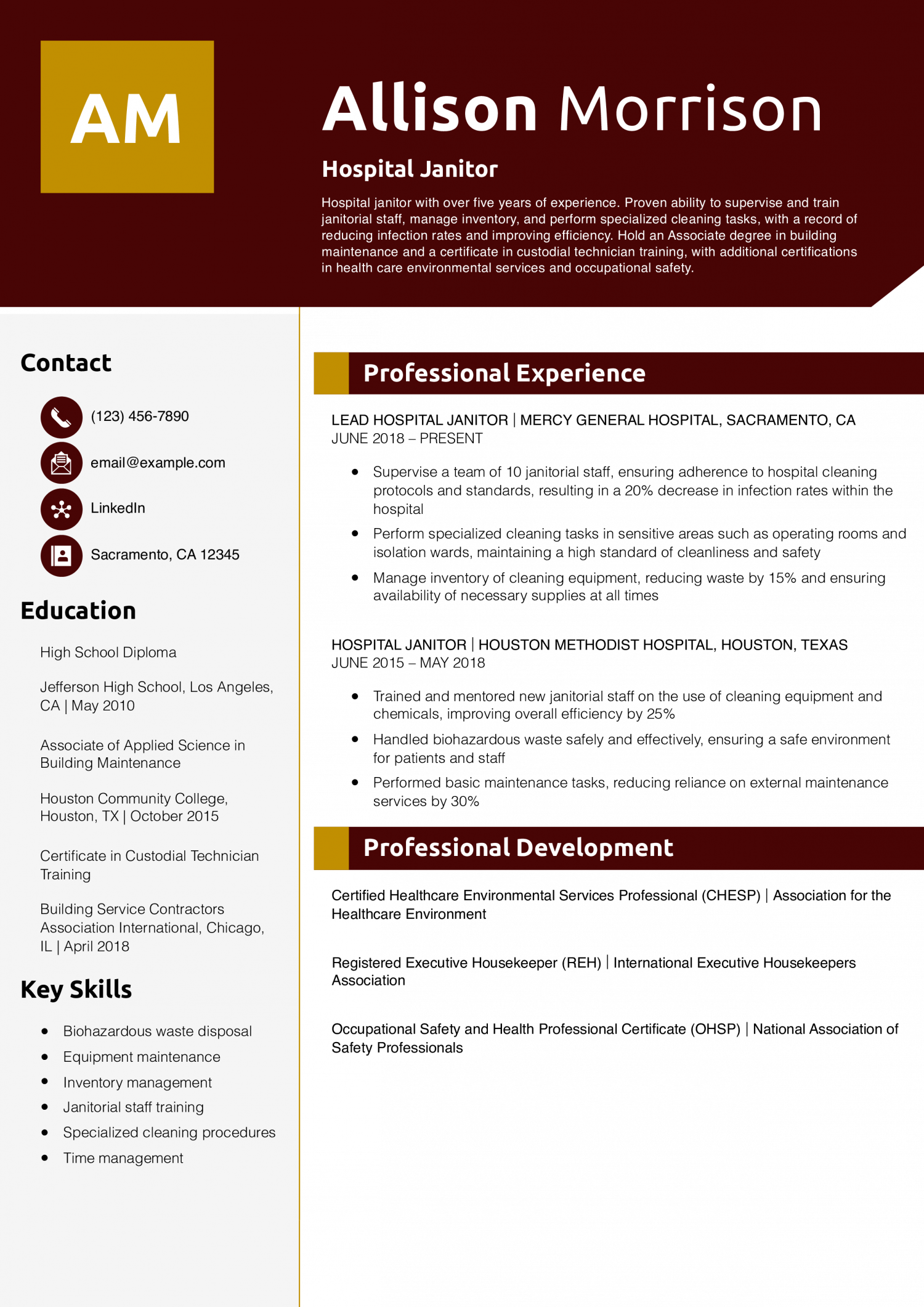 Hospital Janitor Resume Example