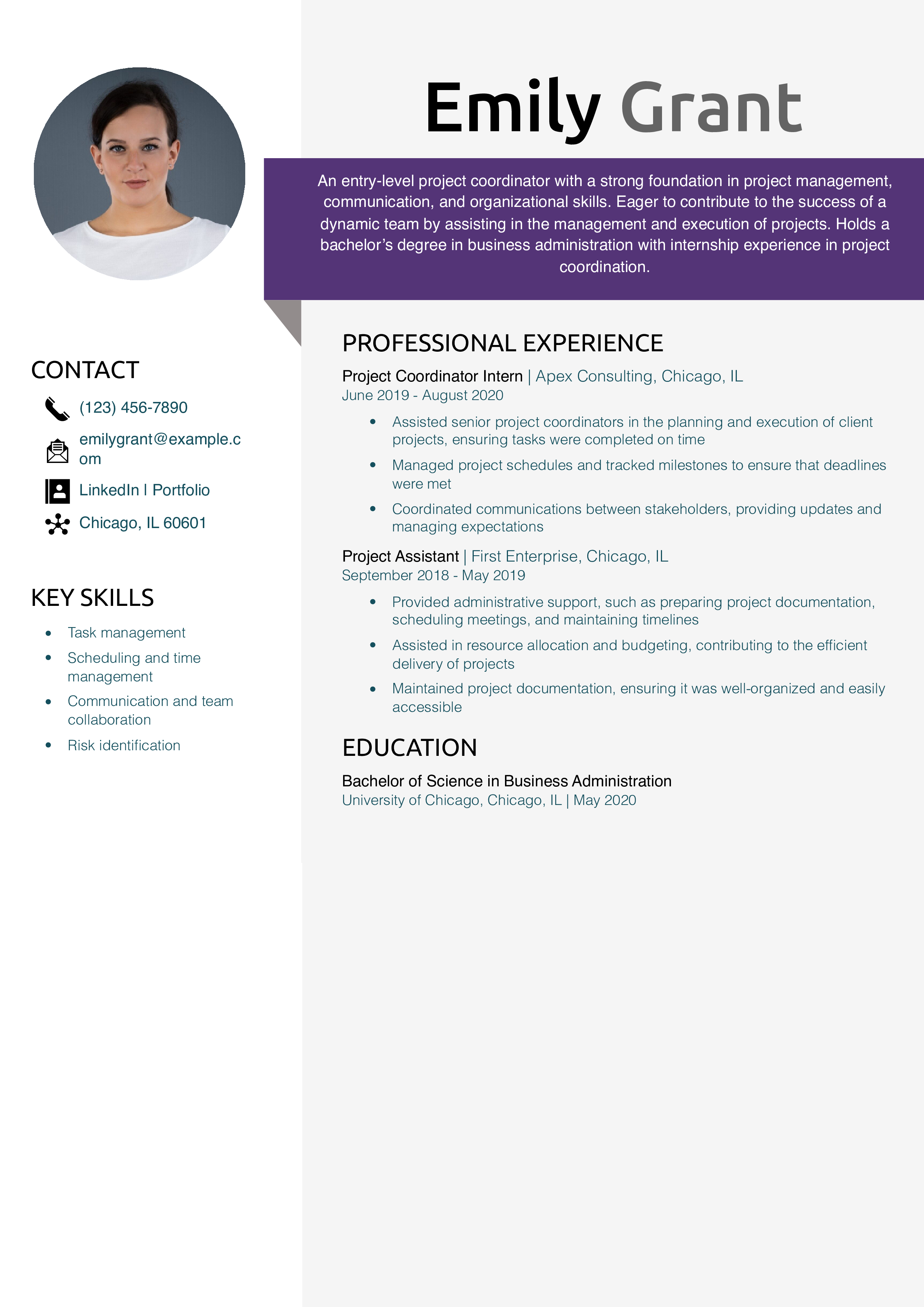 Entry-Level Project Coordinator Resume Example