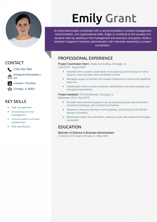 Entry-Level Project Coordinator Resume Example