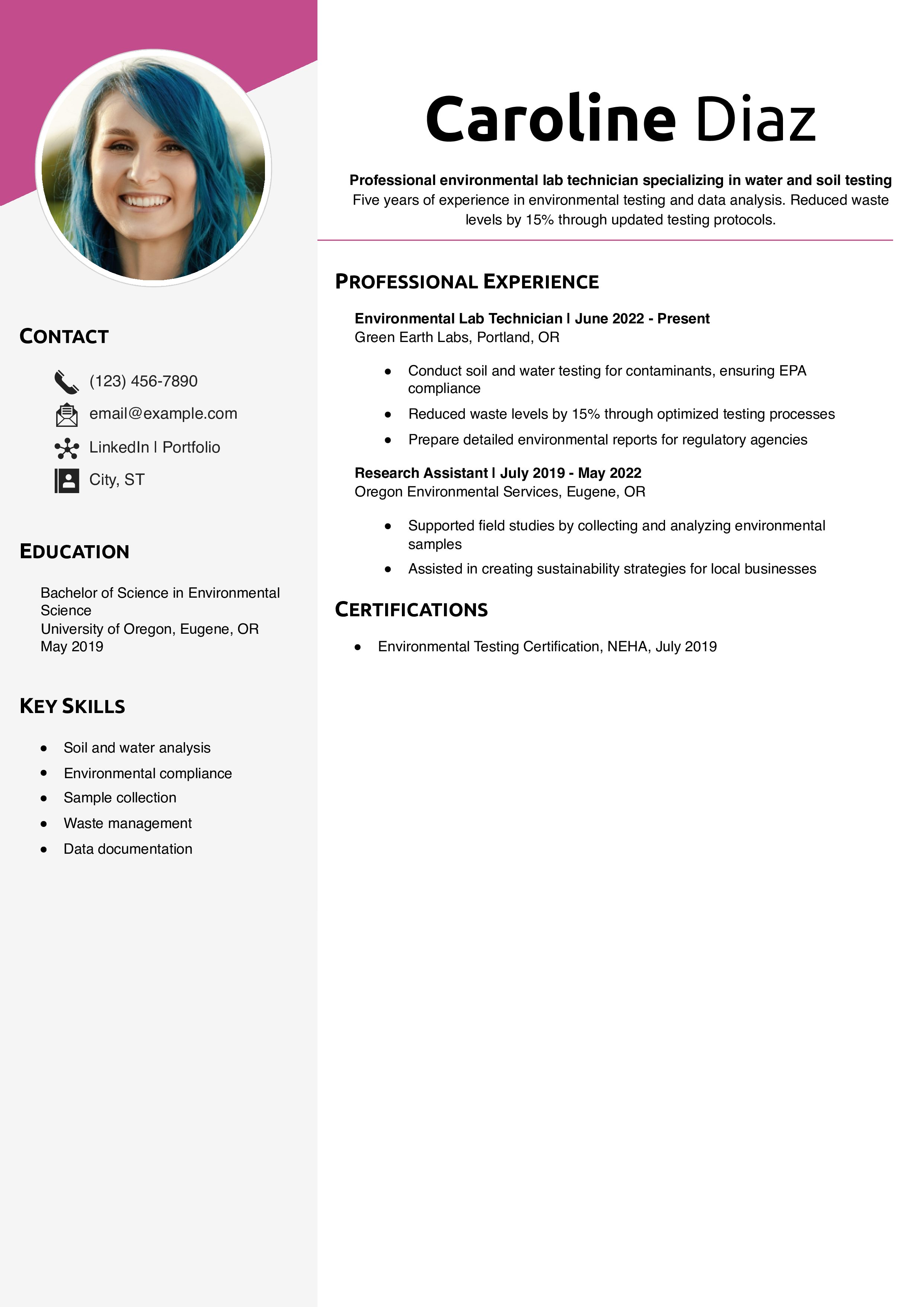 Professional Environmental Lab Technician Resume