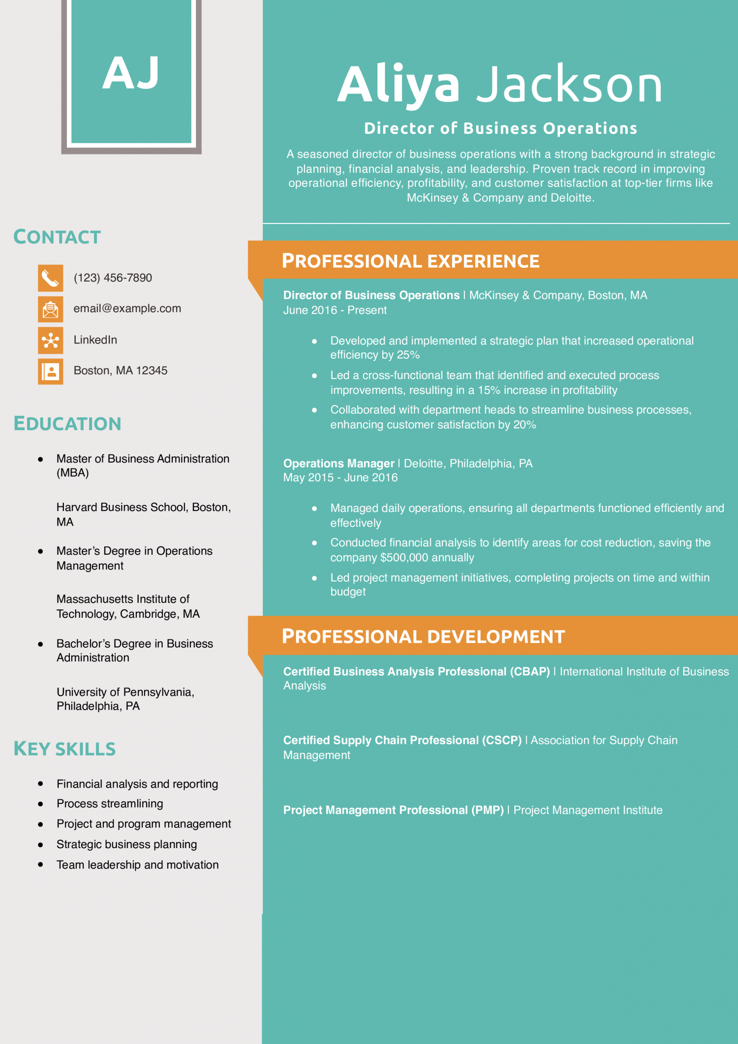 Director of Business Operations Resume Example