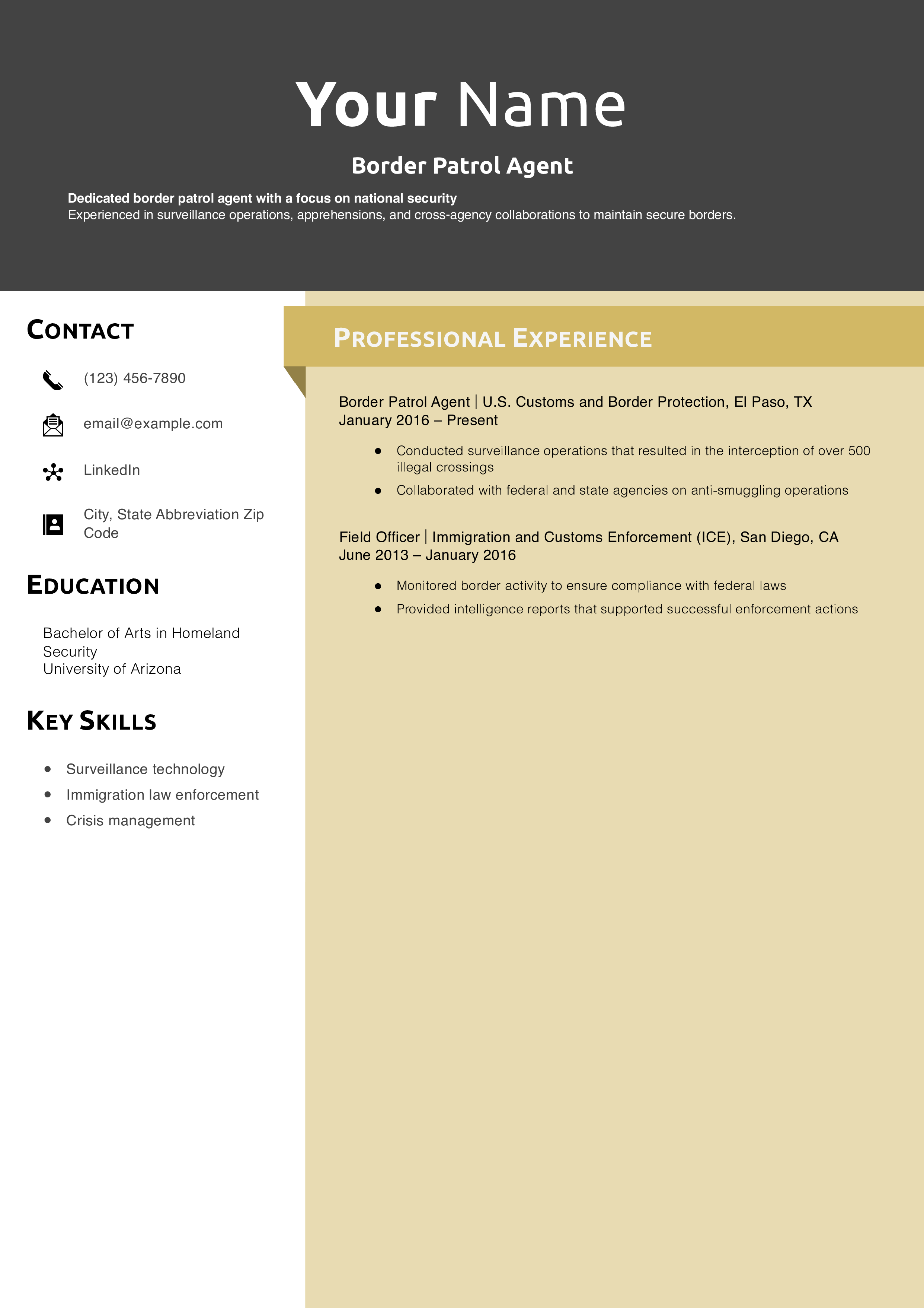 Border Patrol Agent Resume Example