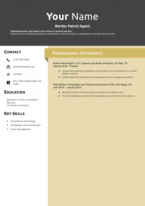 Border Patrol Agent Resume Example