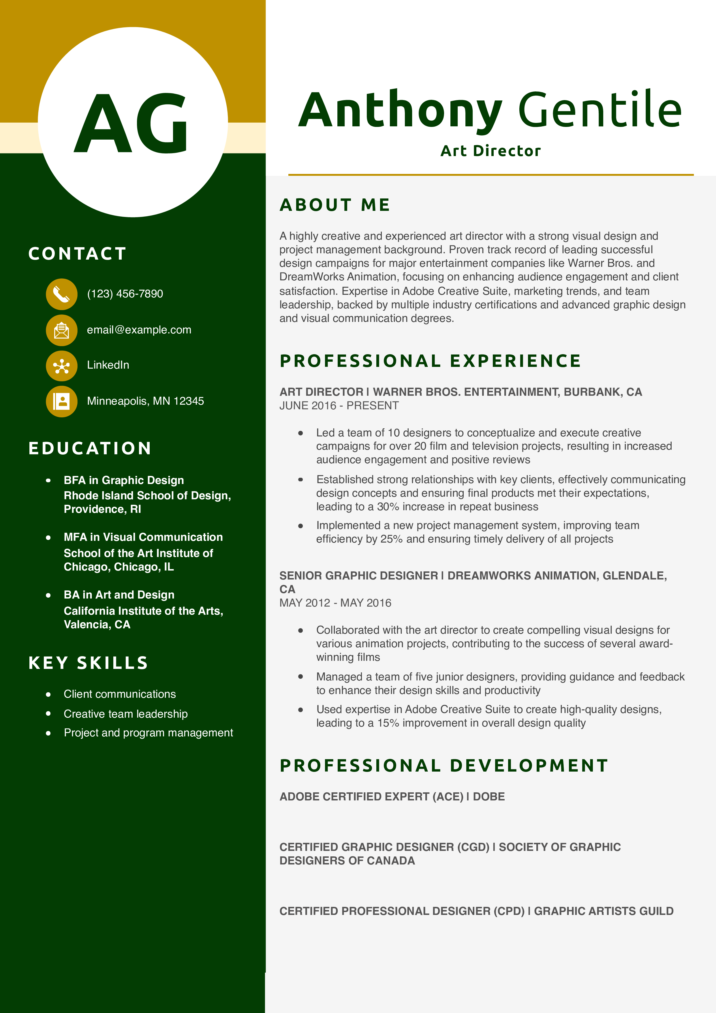 Art Director Resume Example