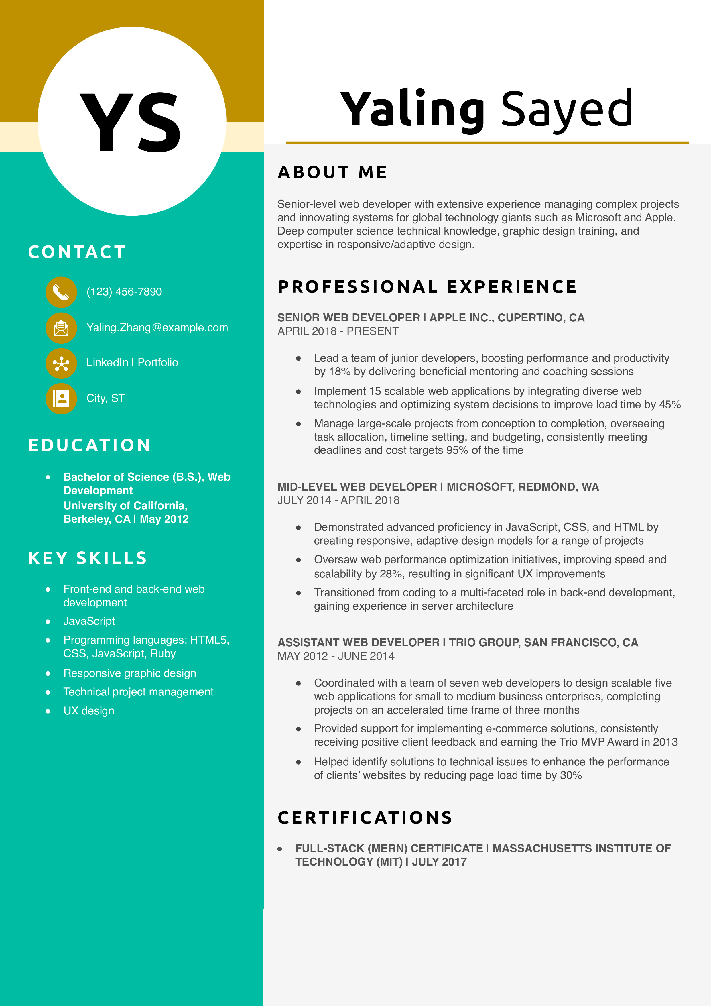 Senior-Level Web Developer