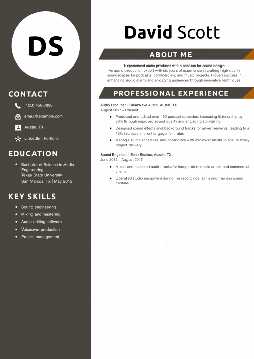 Audio producer resume