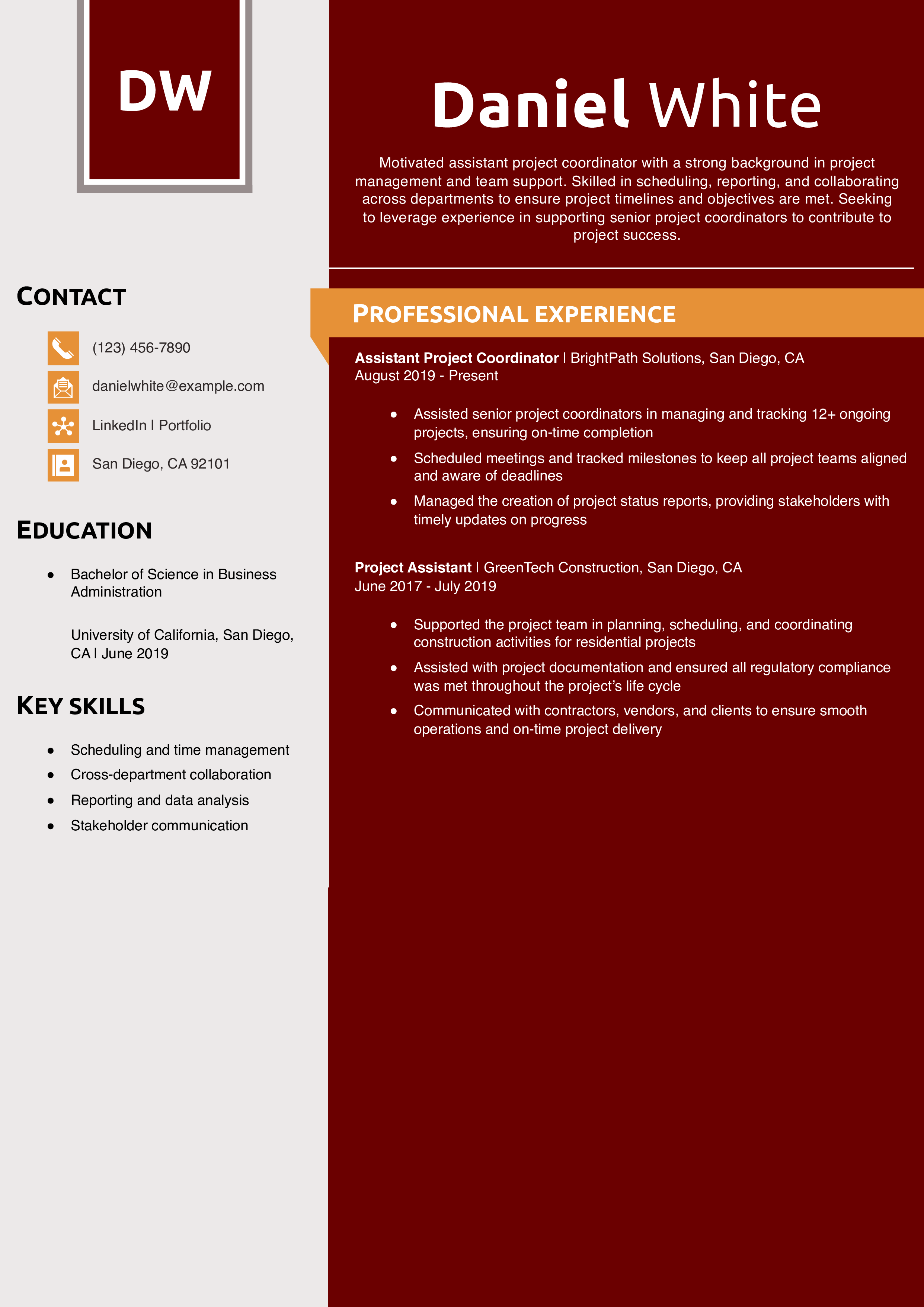 Assistant Project Coordinator Resume Example