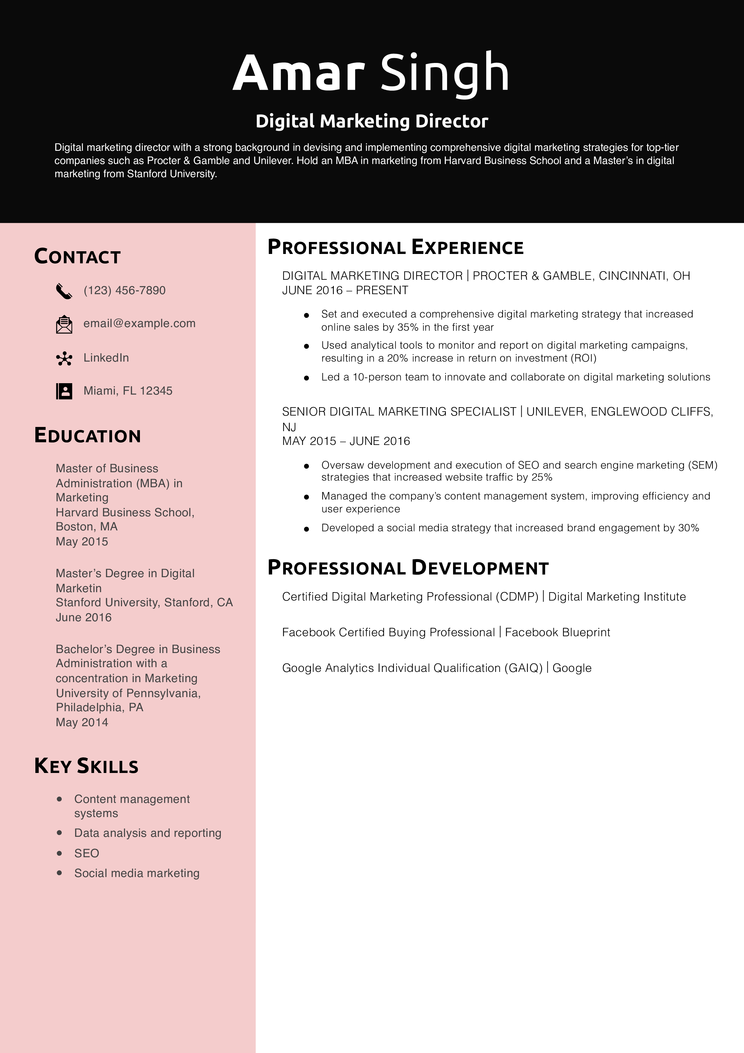 Digital Marketing Director Resume Example